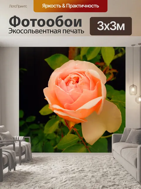 Фотообои Нежность