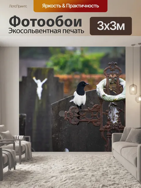 Фотообои Сорока, птица, Pica pica