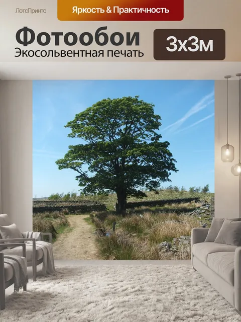 Фотообои Дерево