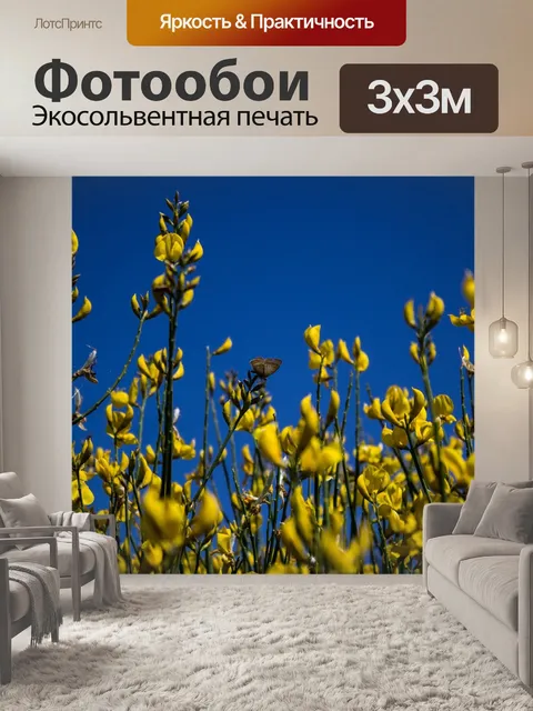 Фотообои Бабочка