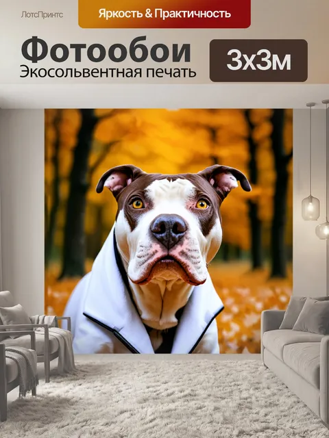 Фотообои Крупный план головы собаки породы питбуль с белым окрасом