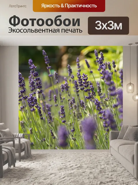 Фотообои Лаванда