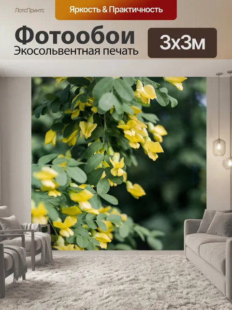 Фотообои Листья