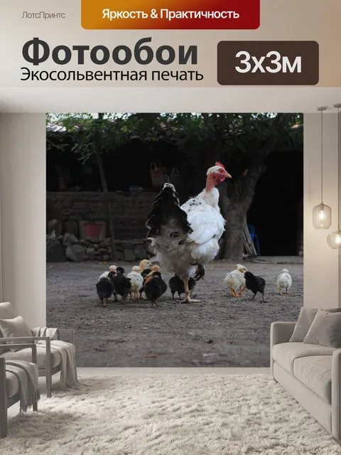 Фотообои Курица