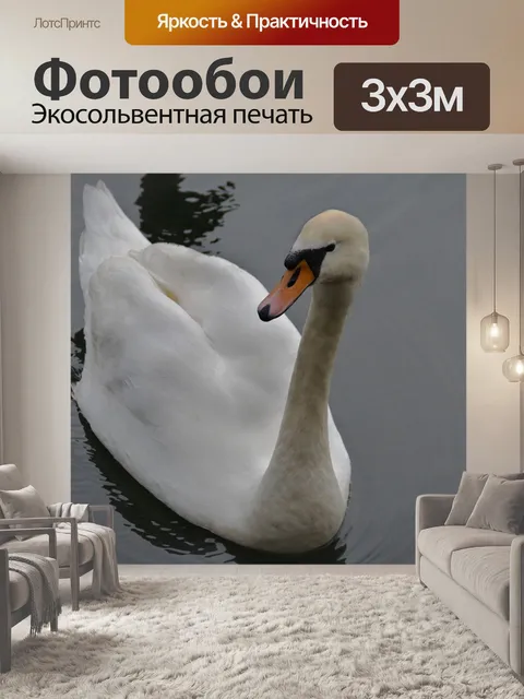 Фотообои Лебедь