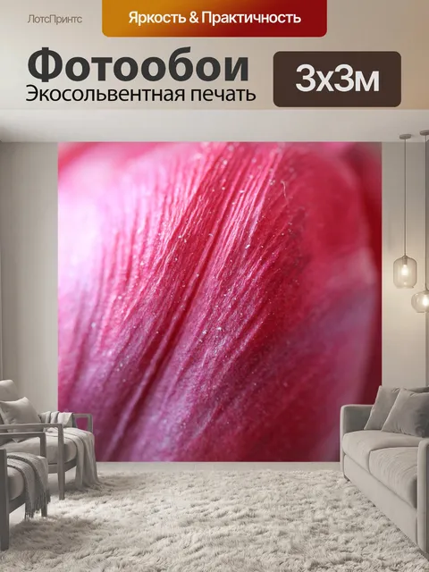 Фотообои Тюльпаны