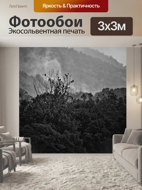 Фотообои Туман