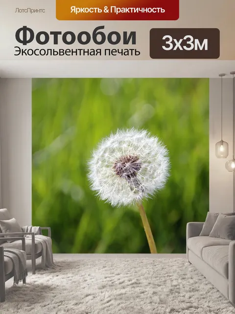 Фотообои Одуванчик