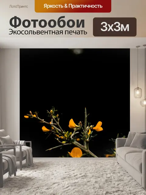 Фотообои Цветы