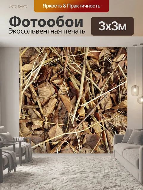Фотообои Листья