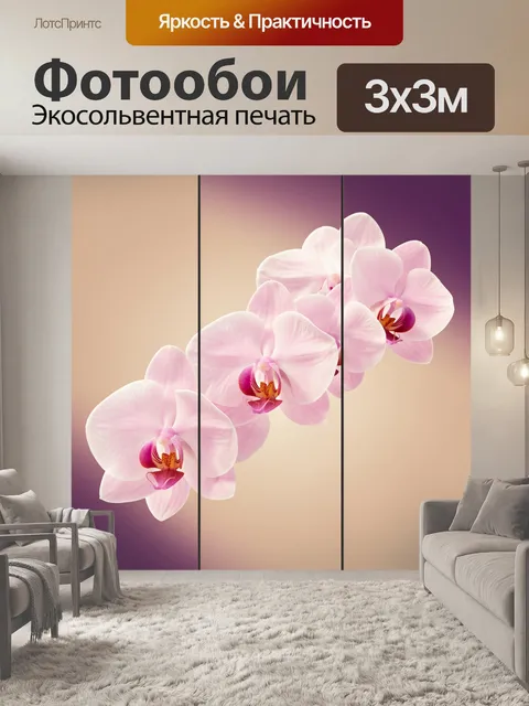 Фотообои Розовые орхидеи на градиентном фоне