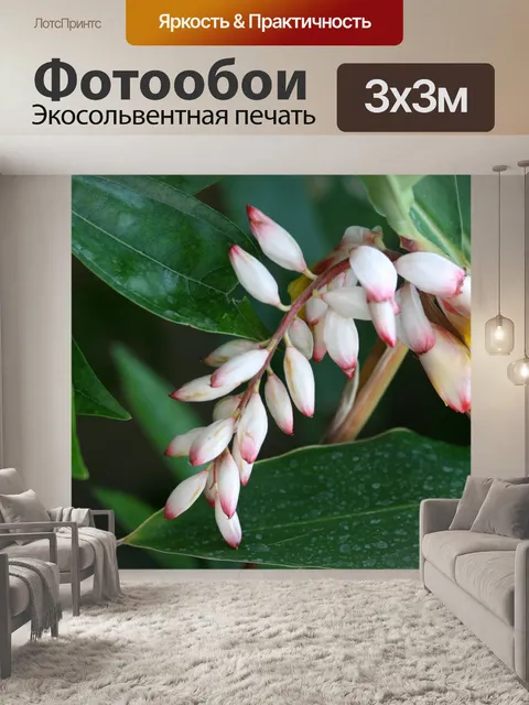 Фотообои Многообещающая цветы весной