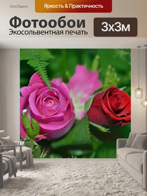 Фотообои Розы