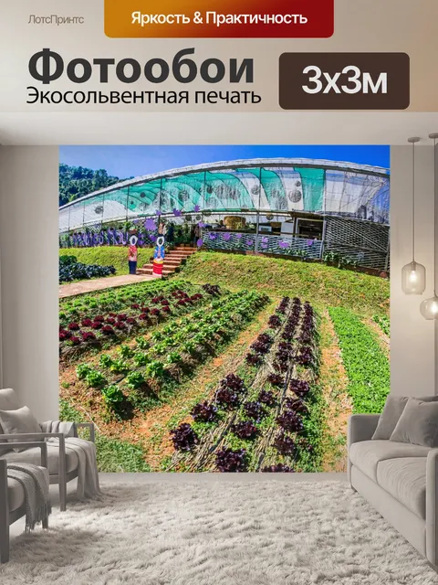 Фотообои Дои Анг Кханг, Чианг Май, Таиланд