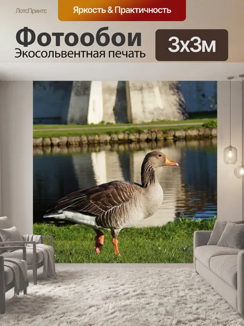 Фотообои Птица