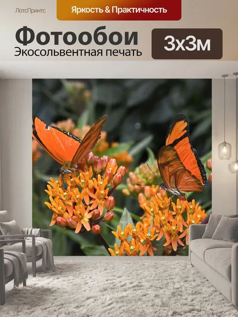 Фотообои Бабочки