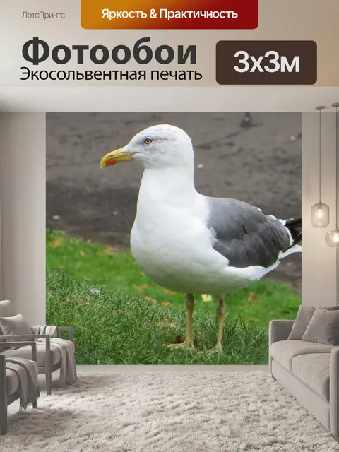 Фотообои Природа