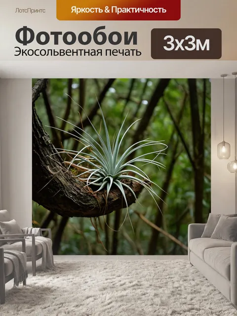 Фотообои воздушные растения, растущие на ветвях деревьев, создающие уникальный баланс в джунглях