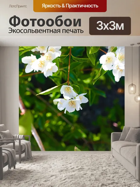 Фотообои Цветы