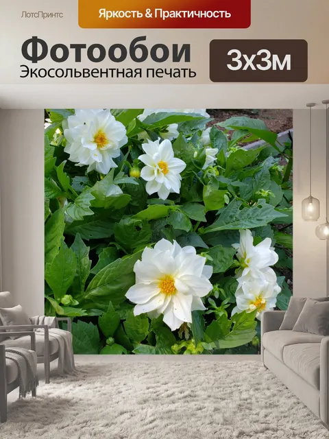 Фотообои Белые садовые цветы