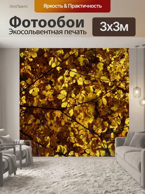 Фотообои Бук