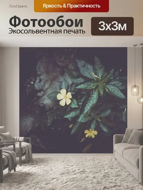 Фотообои Цветок