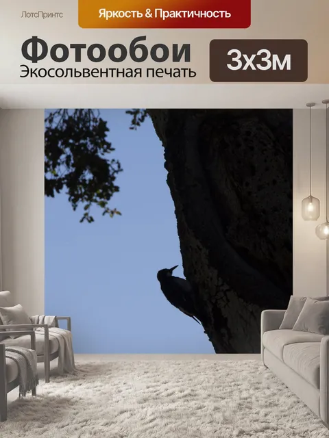 Фотообои Дятел
