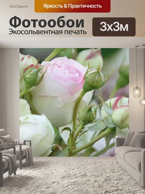 Фотообои Розы