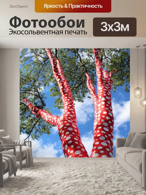 Фотообои Стволы деревьев