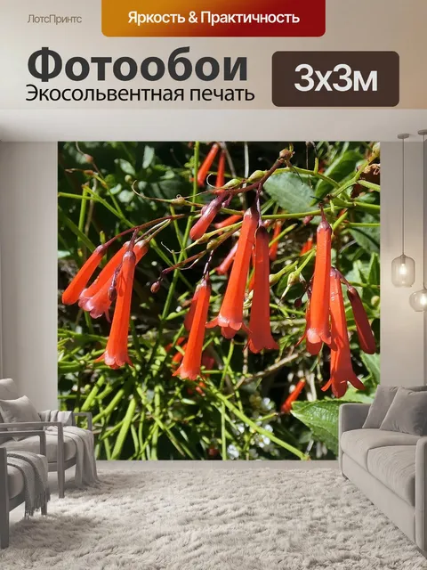 Фотообои Цветы
