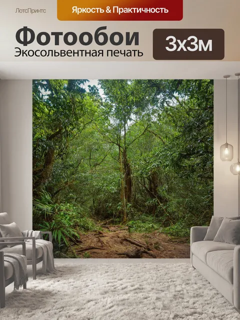Фотообои тропическая исследовательская экспедиция через экзотические леса и сквозь горы