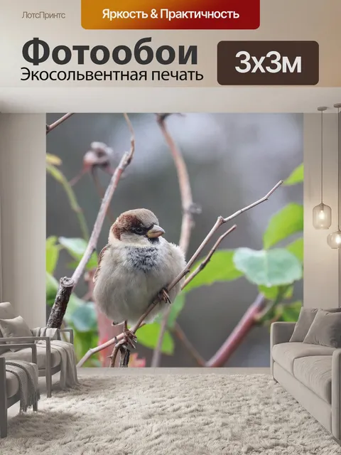 Фотообои Птица