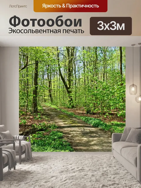 Фотообои Лес