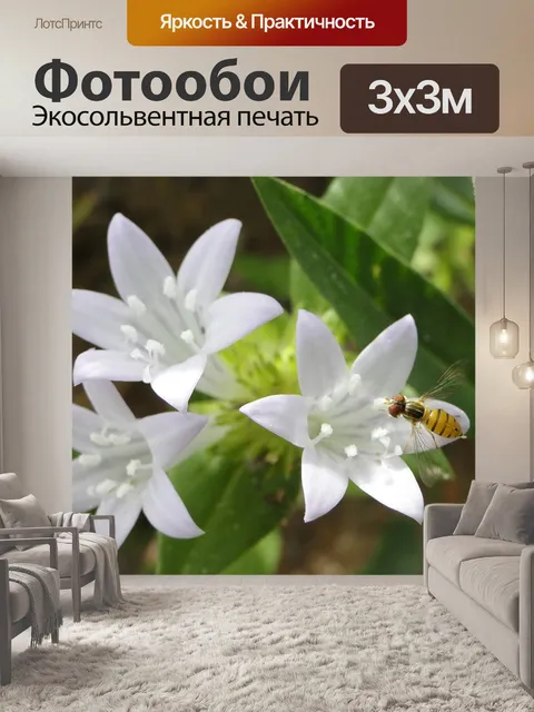Фотообои Цветы