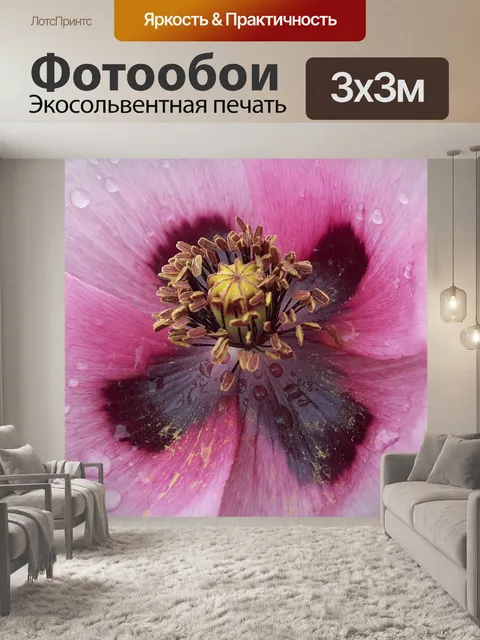 Фотообои Цветок
