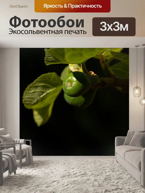 Фотообои Листья