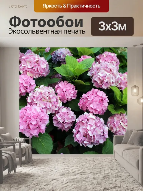 Фотообои Гортензии