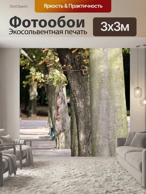 Фотообои Проспект