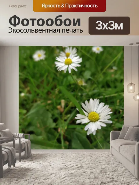 Фотообои Маргаритка