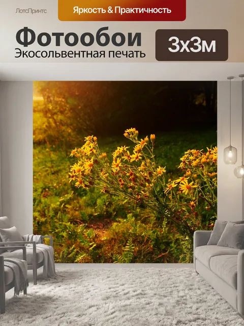 Фотообои Вечер