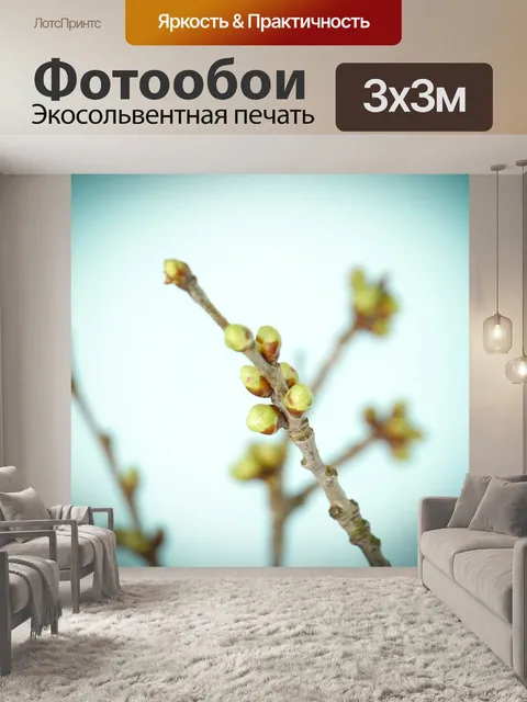 Фотообои Ветвь