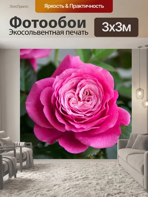 Фотообои Роза