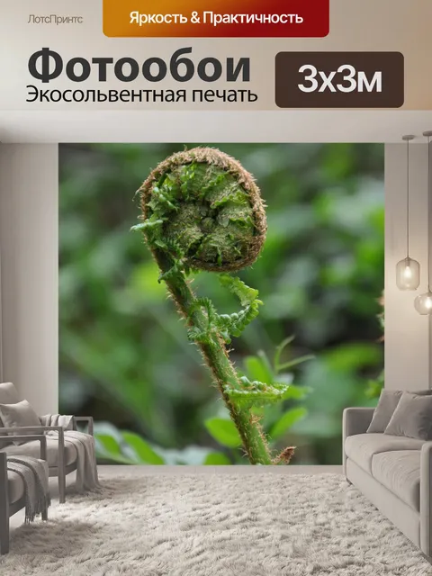 Фотообои Папоротник