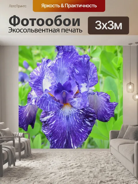 Фотообои Сад