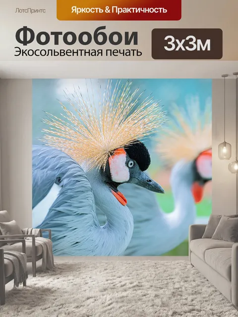 Фотообои Птица