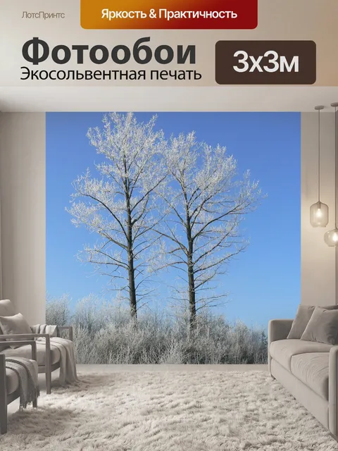 Фотообои Зима
