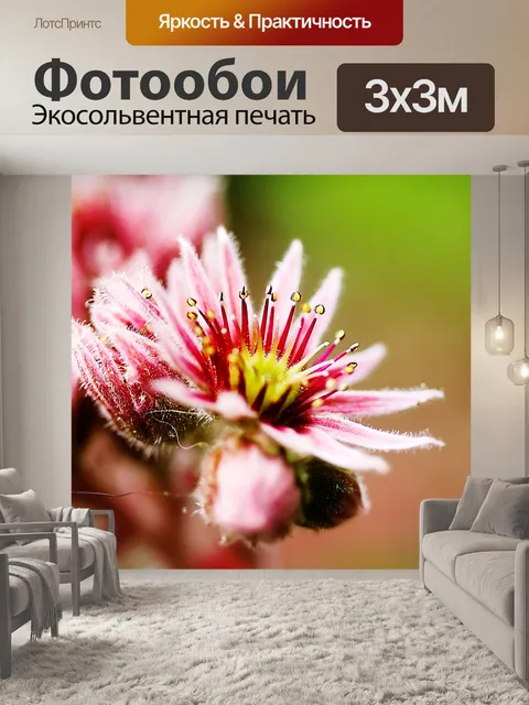 Фотообои Расцветает