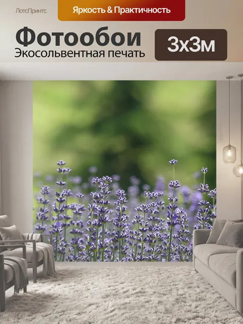 Фотообои Лаванда