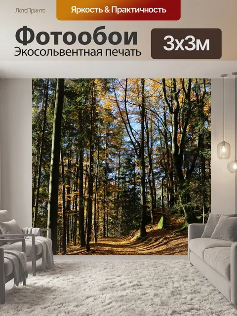 Фотообои Лес