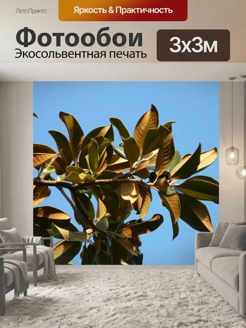 Фотообои Магнолия листья